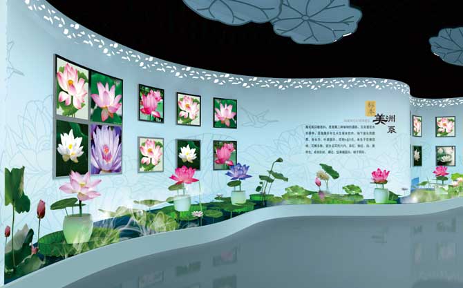 澳门精准24码