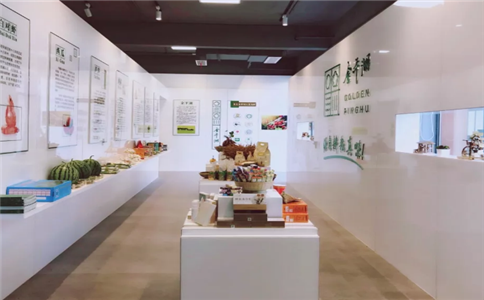 澳门精准24码