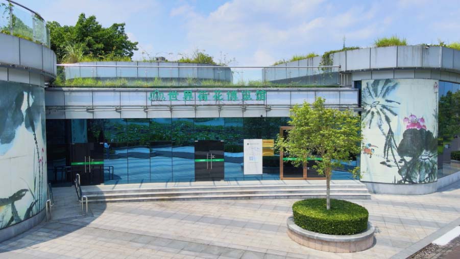 澳门精准24码