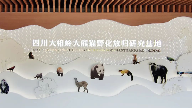 澳门精准24码