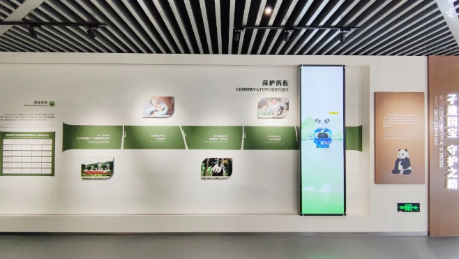 澳门精准24码