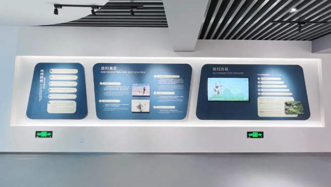 澳门精准24码