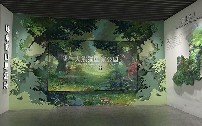 澳门精准24码